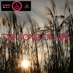 The song of life