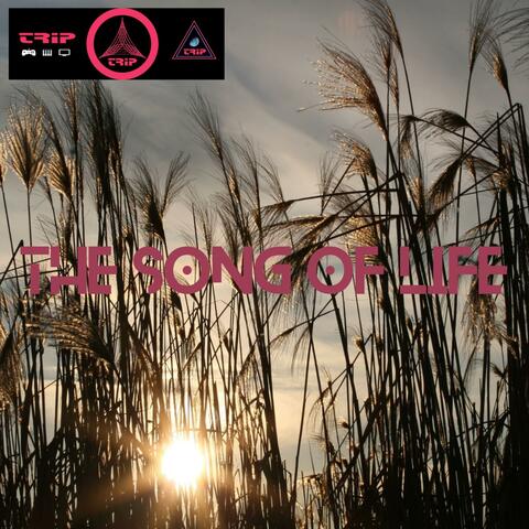 The song of life