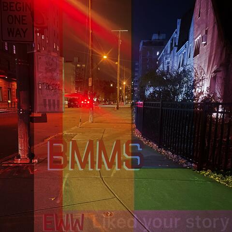BMMS