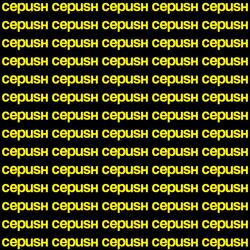 CEPUSH