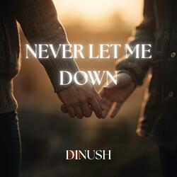 Never Let Me Down