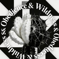Obedience & Wildness