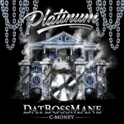 Platinum (Southern Remake)