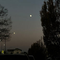 What it feels like to look at you