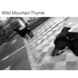 Wild Mountain Thyme