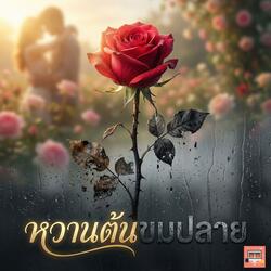 หวานต้นขมปลาย