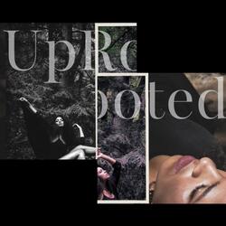 What More Is There To Do