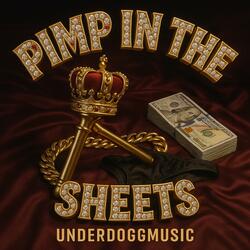 Pimp In The Sheets