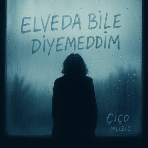 Elveda Bile Diyemedim