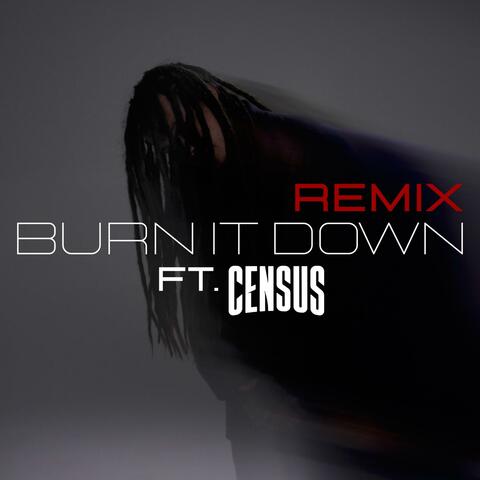 BURN IT DOWN (feat. Census) [Remix]