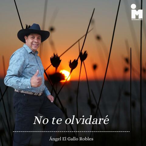 No te Olvidare Angel el Gallo Robles (s22 sesiones)