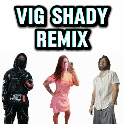 Vig Shady (feat. Baliko & Anansi8) [Remix]
