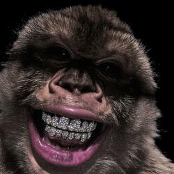 Hard Bouncy Trap Beat "Pose"