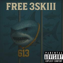 Free 3Skiii