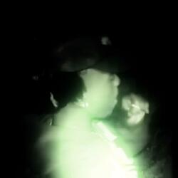 Action figure (feat. Wrldofpierre)