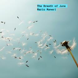 The Breath Of June