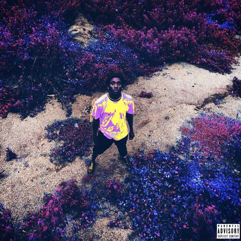 Hope N Dream II:DOTR