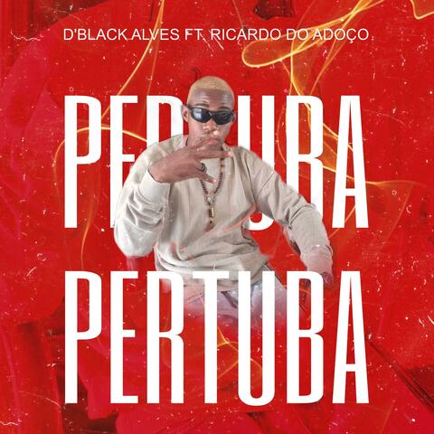 PERTUBA (feat. Ricardo Do Adoço)