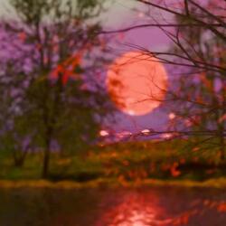 WAY TO YOUR OWN SOUL (feat. AZIZ MORNINGSTAR & feat. عزيز) (عزيز)