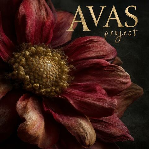 Мы лепестки