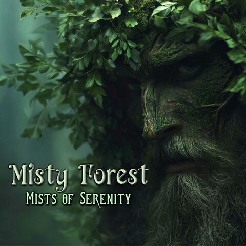 Misty Forest