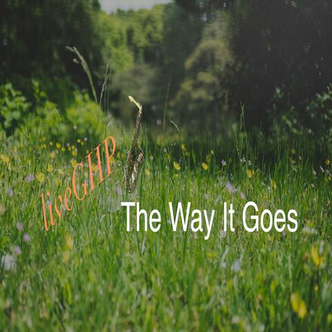 The Way It Goes