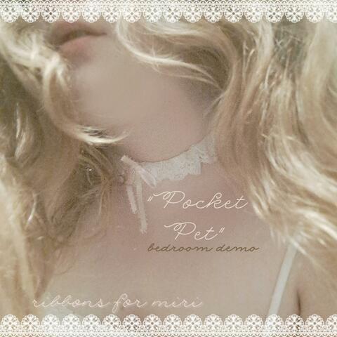 pocket pet (bedroom demo)