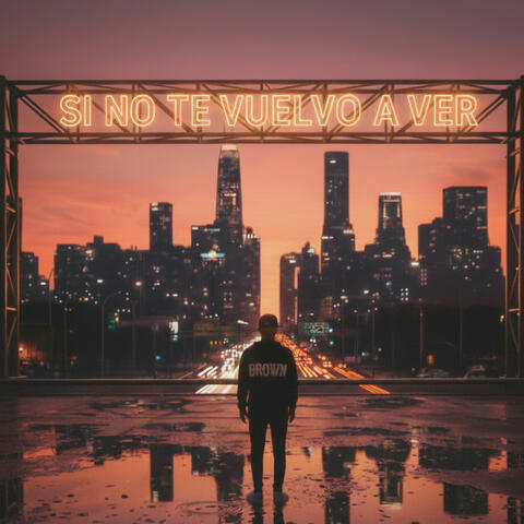 Si no te Vuelvo a Ver