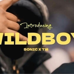 Wildboy (feat. Troublemaker)