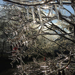 Underground Pool Party