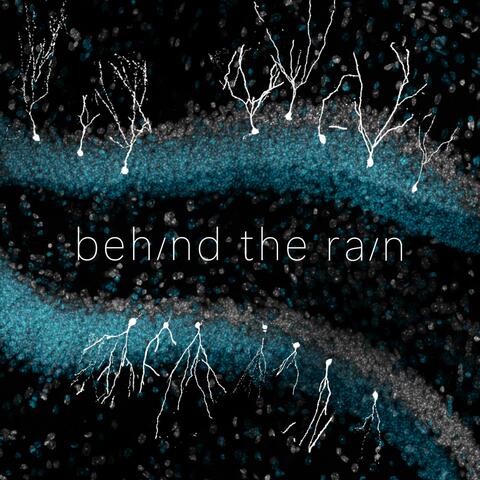 behind the rain