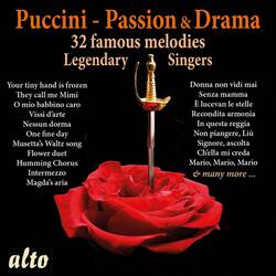 Suor Angelica: Senza mamma