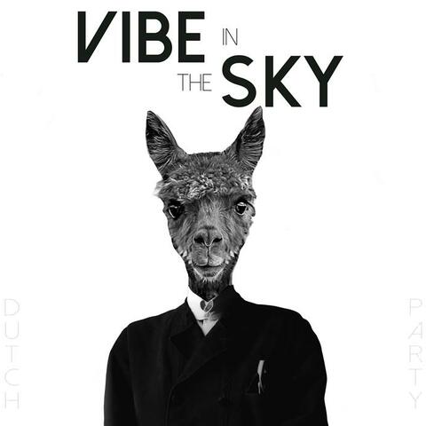 Vibe In The Sky