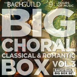 Beethoven: Der glorreiche Augenblick, Op.136: VI. Chorus: Es treten vor die Scharen der Frauen