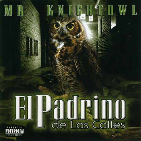 Mr. Knight Owl