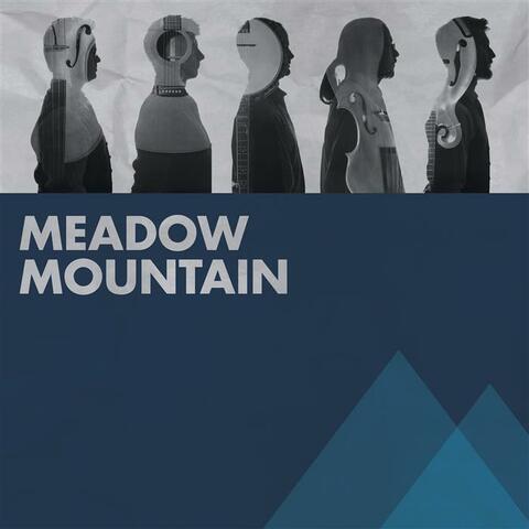 Meadow Mountain