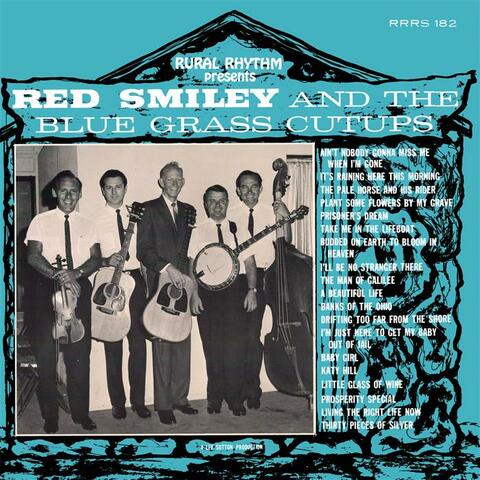 20 Bluegrass Favorites, Volume 2