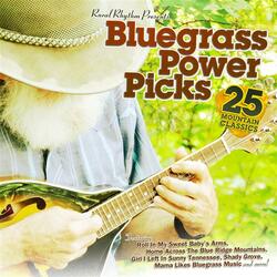 Whitehouse Blues