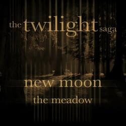Twilight: New Moon - The Meadow