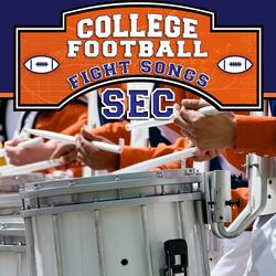 Orange and the Blue- University of Florida