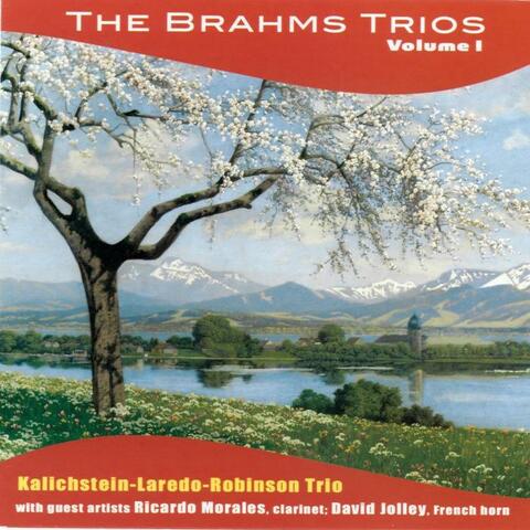 Brahms Trios, Vol I