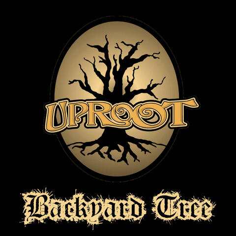 Backyard Tree