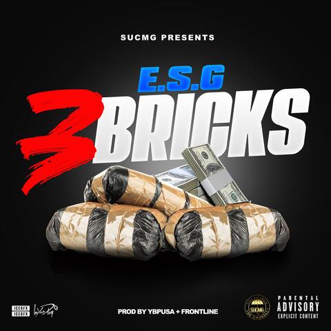 3 Bricks