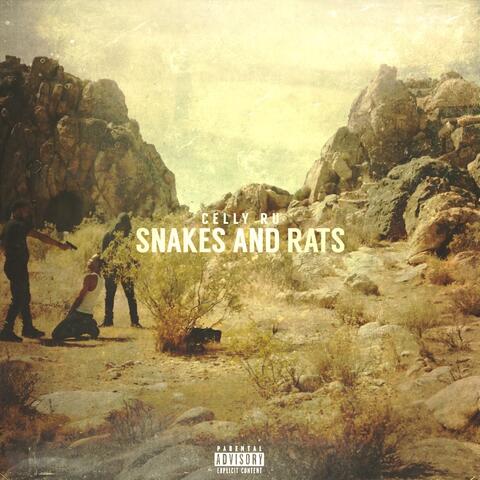 Snakes and Rats
