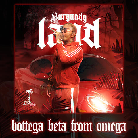 Bottega Beta From Omega