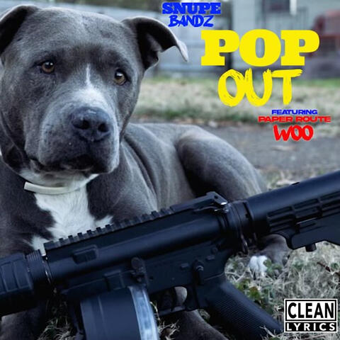 Pop Out ( feat. PaperRoute Woo)