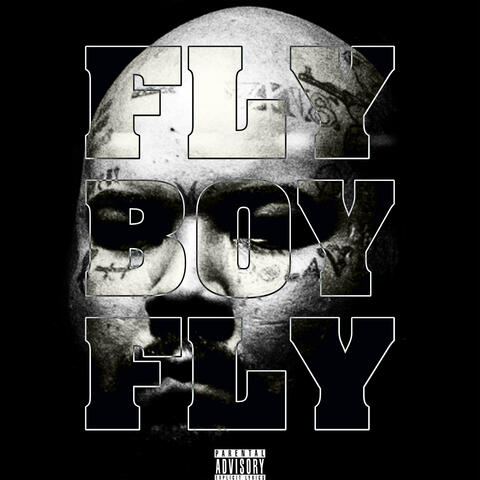 Fly Boy Fly
