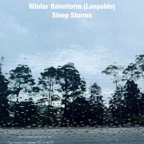 Winter Rainstorm