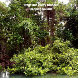 Frogs and Rainy Thunder