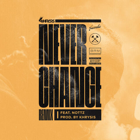 Never Change (Remix) [feat. Nottz]